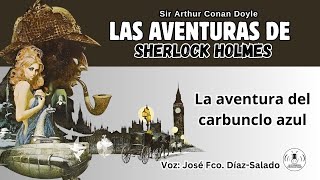 12  LAS AVENTURAS DE SHERLOCK HOLMES  LA AVENTURA DEL CARBUNCLO AZUL AUDIOLIBRO [upl. by Inalawi]