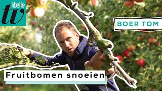 Boer Tom vertelt hoe en wanneer je het beste je fruitbomen kunt snoeien [upl. by Madelon]