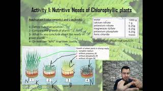 chapter 2 activity  Nutritive needs of green plants part 4 Grade 7 [upl. by Roderick566]