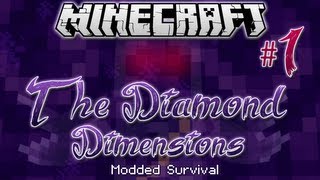 quotPUNCH WOOD MANquot  Diamond Dimensions Modded Survival 1  Minecraft [upl. by Onimixam]