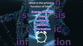 What is the primary function of DNA  biology shortsvideo shortquizvideo [upl. by Bobette]