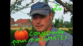 La consoude plante quot quotquotMAGIQUEquot pour vos tomates [upl. by Kathie]