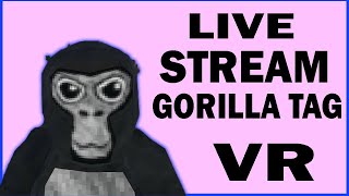 GORILLA TAG LIVE [upl. by Naloc]