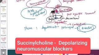 Succinylcholine  Depolarizing neuromuscular blockers neurology 170  First Aid USMLE Step 1 [upl. by Joice713]