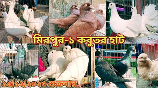 মিরপুর১ কবুতর হাট ১৫১২২০২৩ শুক্রবার  দেশি বিদেশি কবুতরের দাম জানুন  Mirpur1 kobutor hat 2023 [upl. by Jobey10]