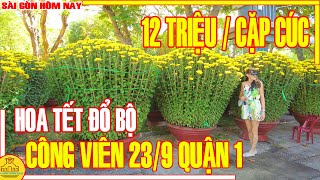 HOA TẾT Sài Gòn 2024  Dàn Bông Cúc CỰC KHỦNG quotĐỔ BỘquot Công Viên 23 Tháng 9 Quận 1  Sài Gòn Hôm Nay [upl. by Alitta139]