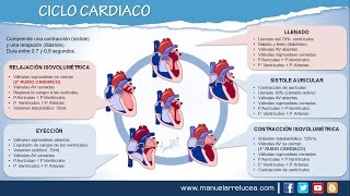 CICLO CARDIACO [upl. by Nivram]