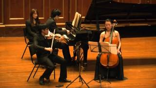 Tchaikovsky Piano Trio in A minor Op 50 [upl. by Knitter593]