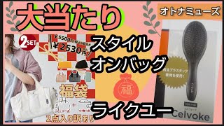 【大当たり】楽天市場 スタイルオンバッグ ライクユー バッグ＋小物セット 訳あり福袋 開封 今回はライクユーさんで購入したよ オトナミューズ 2022年11月号 Celvoke 電波振動ヘアブラシ [upl. by Aenyl477]