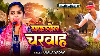 Ujala Yadav का हास्य रस बिरहा  बकलोल चरवाह  Bhojpuri Birha [upl. by Nollahp]