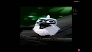 Bird screaming meme [upl. by Naraj]