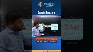 Osmotic Pressure shorts educational reelsvideo funlearn [upl. by Macfadyn]