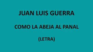 Juan Luis Guerra  Como la abeja al panal LetraLyrics [upl. by Nomra]