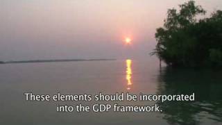 Millennium Ecosystem Assessment quotThe Economics of well  beingquot [upl. by Tak]