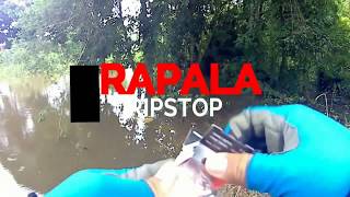 New Rapala RipStop 09 2018 Strike ikan Hampala [upl. by Enahc12]