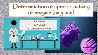 In vitro determination of specific activity of enzyme amylase [upl. by Names]