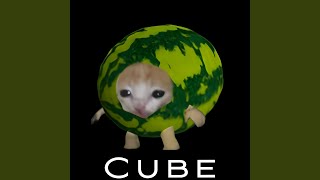 Cat in Watermelon [upl. by Aicenod]