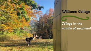 Location Location Location Williams College  Pros amp Cons of a Rural College [upl. by Ahtreb679]