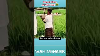 BAPAK INI BILANG MAU KERJA TAPI MALAH GINI [upl. by Micah]