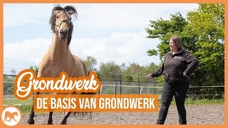 Grondwerk  De basis oefeningen [upl. by Barina]