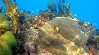 Snorkeling Jibacoa Cuba [upl. by Keary]