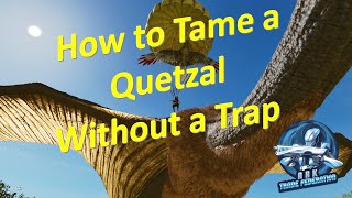 How to Tame a Quetzal Without a Trap Ark Survival Ascended [upl. by Ykcub]