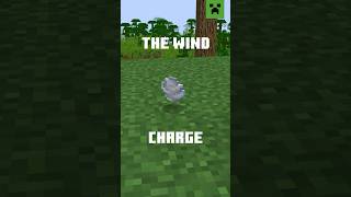 NEW ITEM ALERT THE WIND CHARGE [upl. by Cortie789]