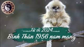 Tử vi tuổi Bính Thân 1956 nam mạng năm 2024 [upl. by Nefets]