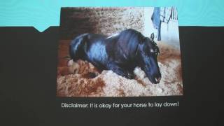 Equine Laminitis [upl. by Odie]