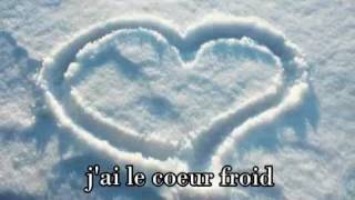 Celine Dion  Comme Un Coeur Froid Lyrics [upl. by Quinton]