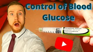 HOMEOSTASIS Control of Blood Glucose AQA ALevel Biology [upl. by Oicapot]