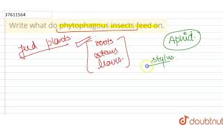 Write what do phytophagous insects feed on [upl. by Bohs]