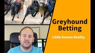 Greyhound Betting Little Known Reality [upl. by Prisilla]