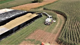 Corn Silage Harvest Efficiency [upl. by Nnylyak]