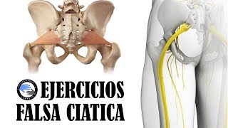 Los 3 mejores ejercicios para tratar el sindrome del piramidal o falsa ciatica [upl. by Eneleahcim]