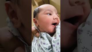 cute Newborn born baby😍terenainaboybabybabynewborntrendingshortsviral [upl. by Calendre]