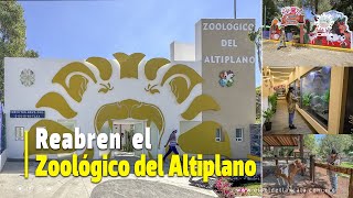 Reabren el Zoológico del Altiplano [upl. by Kajdan]