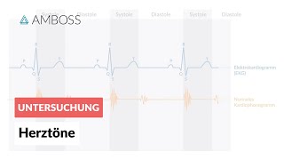 Physiologische Herztöne  AMBOSS  Video [upl. by Arvy]