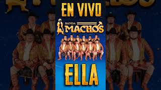 BANDA MACHOS  ELLA EN VIVO shorts shortvideo bandas banda romantic [upl. by Drabeck]