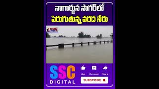 Heavy Water InFlow To Nagarjuna Sagar Dam  Shorts Sscdigital Balannamuchatlu [upl. by Acinok]