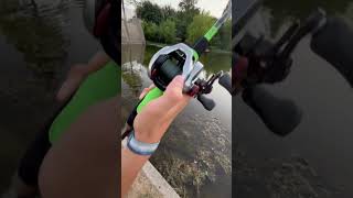 Scorpion DC vs SLX DC sound test 🔊ReelTalkFishin512 fishing shimano viralshort baitcaster [upl. by Ralyt]