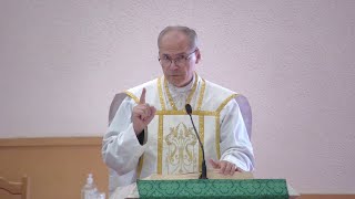 quotSpiritual Blindnessquot  Homily  Friday September 13 2024  by Fr Steven [upl. by Nryhtak]