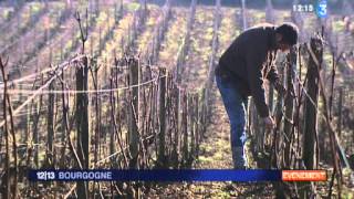 Domaine Ramonet à CHASSAGNEMONTRACHET [upl. by Okram898]