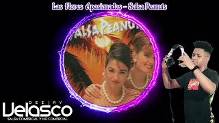 Las Flores Apasionadas  Salsa Peanuts  Dj velasco [upl. by Folsom]