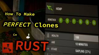 Master Cloning in RUST Grow Hemp Berries and Food Efficiently in this Zero to Hero Guide [upl. by Anaujait864]