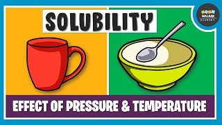 What is Solubility Chemistry [upl. by Lancey]