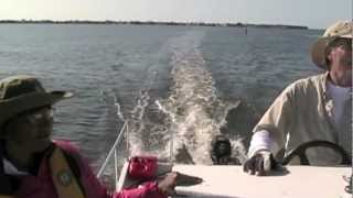 Lightweight 27 Power Catamaran With 10 hp Engine [upl. by Vitale407]