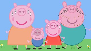 Front view of Peppa Pig Family [upl. by Llerdnod584]