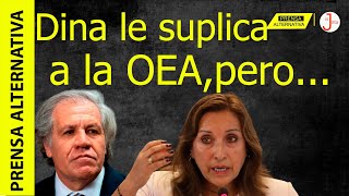 La visita de la presidenta peruana a la OEA tiene una sola necesidad imperiosa [upl. by Buchbinder]