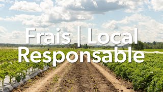 Fraîcheur localité et durabilité avec nos partenaires maraîchers [upl. by Ahsenev648]